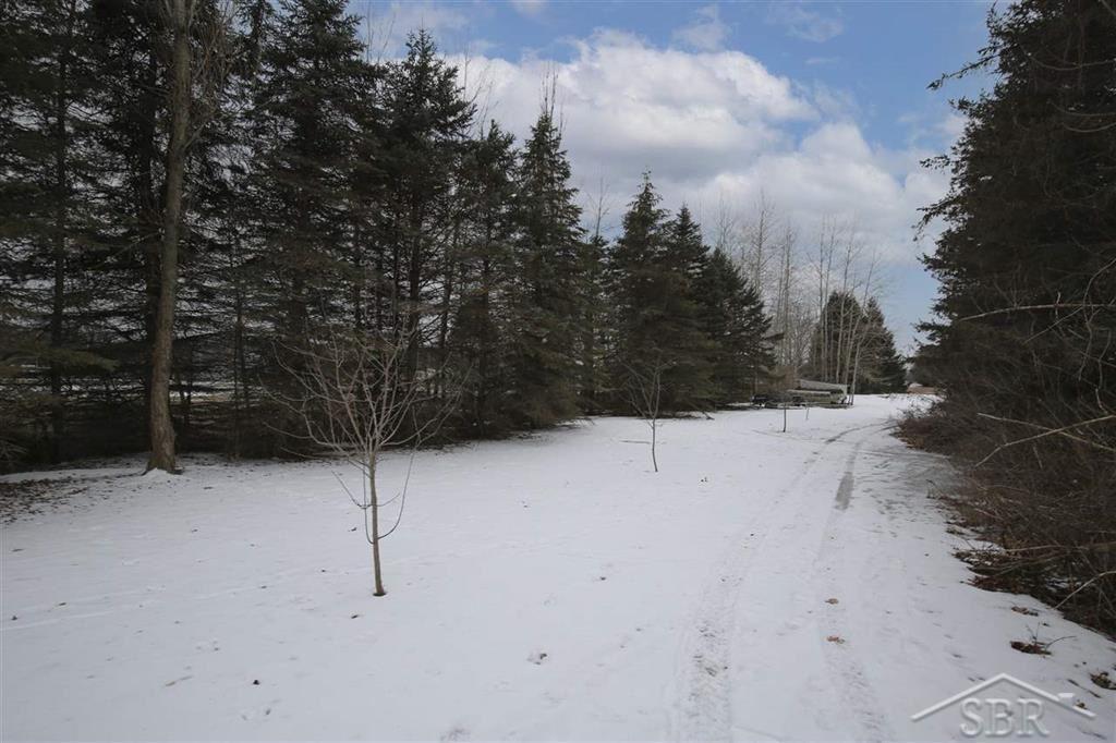 5087 West Shaffer Road Coleman, MI 48618 - Photo 36 of 37