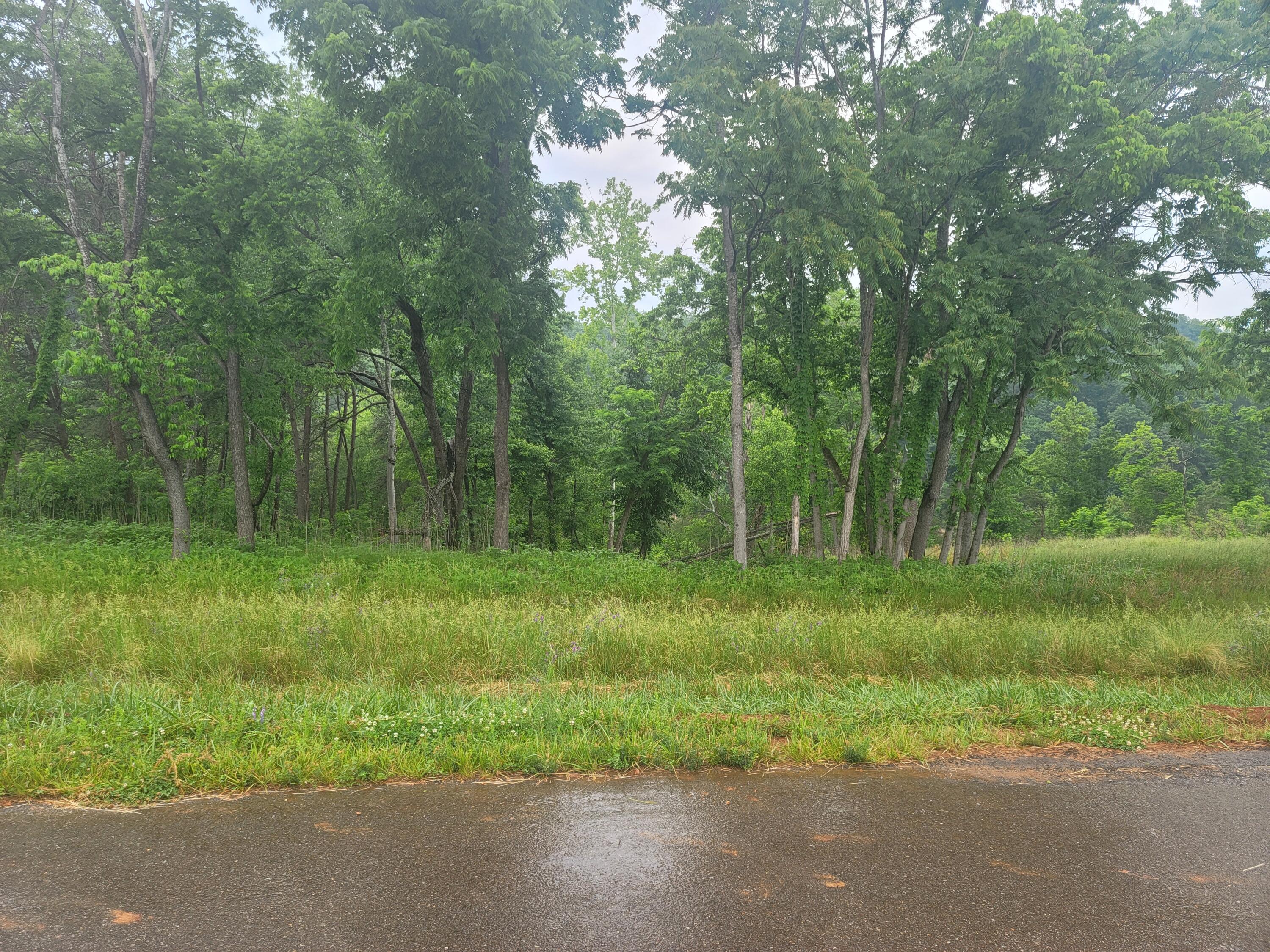 1953 Moorman Road Hardy, VA 24101 - Photo 3 of 10 a backyard of a house with a yard and large trees