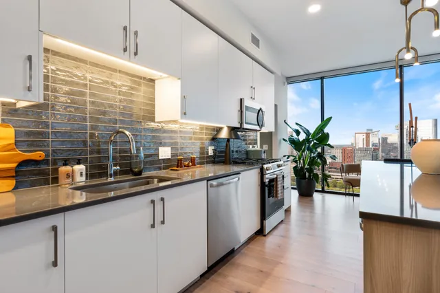 a kitchen with stainless steel appliances a sink a counter top space cabinets and a potted plant