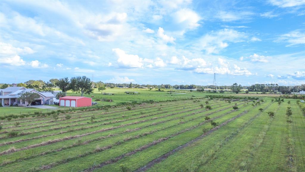 Blanton Acres Road Plant City, FL 33565 - Photo 11 of 24