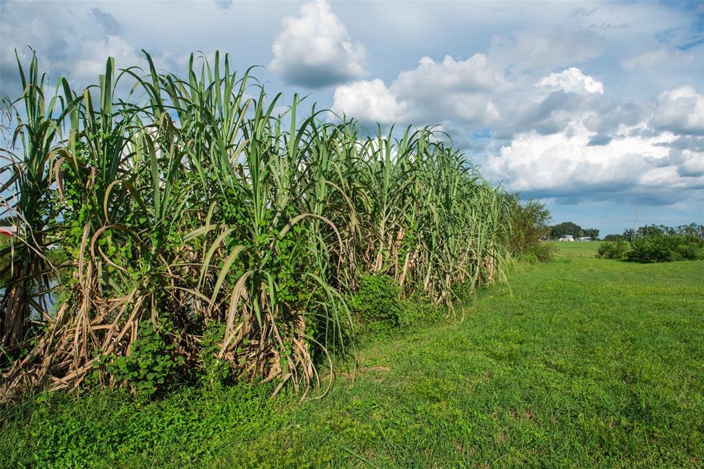 Blanton Acres Road Plant City, FL 33565 - Photo 12 of 24
