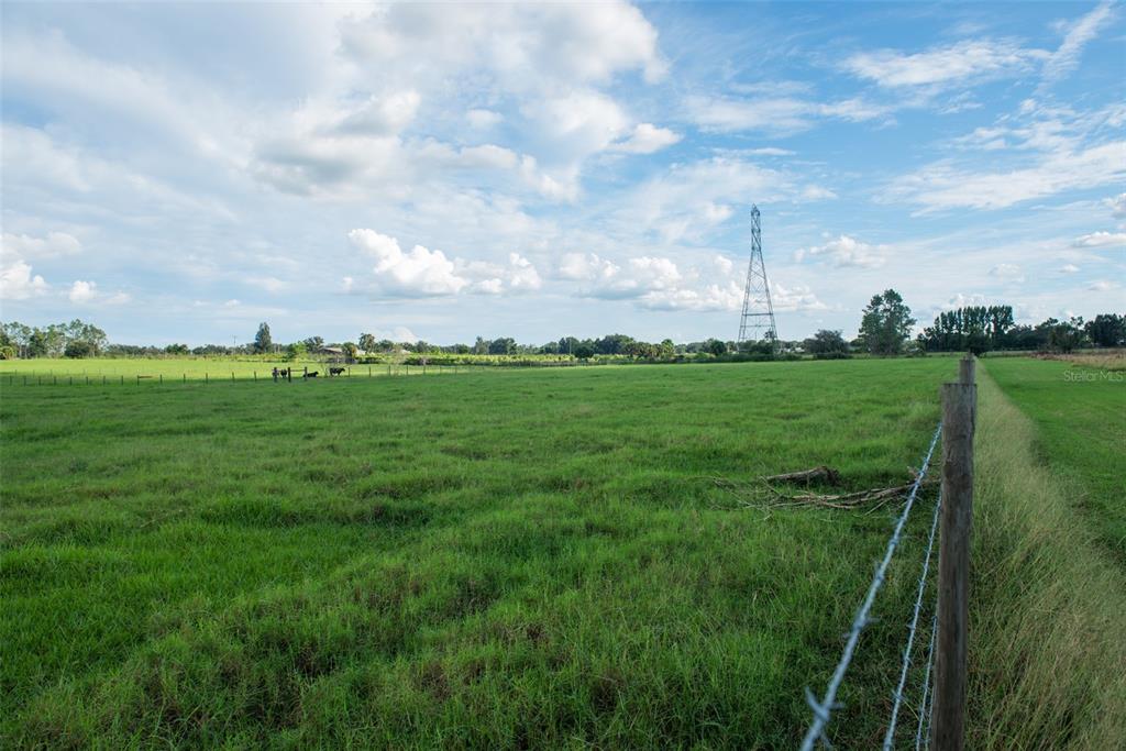 Blanton Acres Road Plant City, FL 33565 - Photo 16 of 24