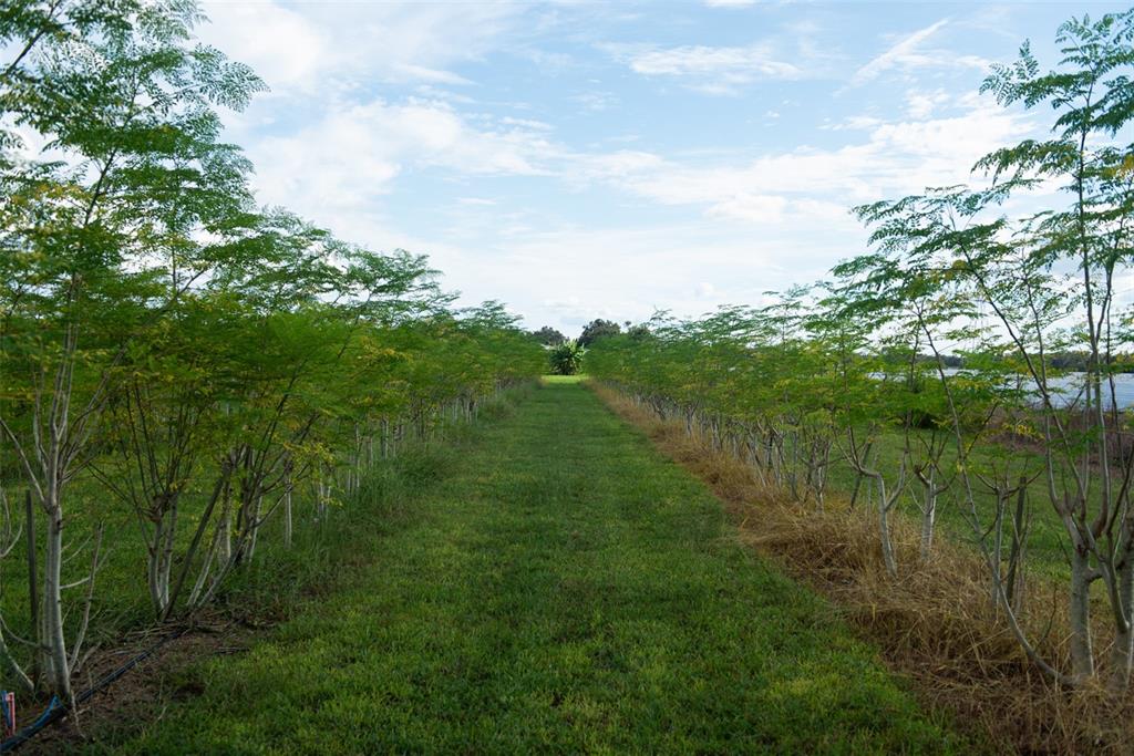 Blanton Acres Road Plant City, FL 33565 - Photo 18 of 24