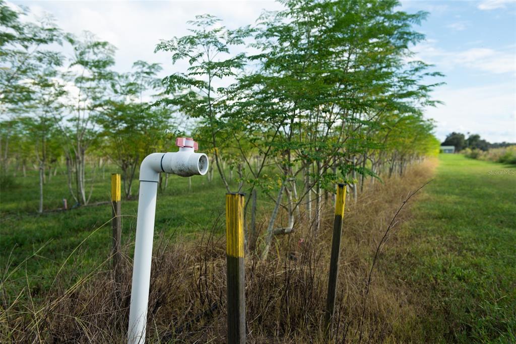 Blanton Acres Road Plant City, FL 33565 - Photo 19 of 24