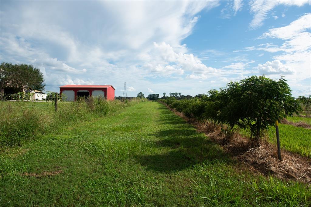Blanton Acres Road Plant City, FL 33565 - Photo 22 of 24