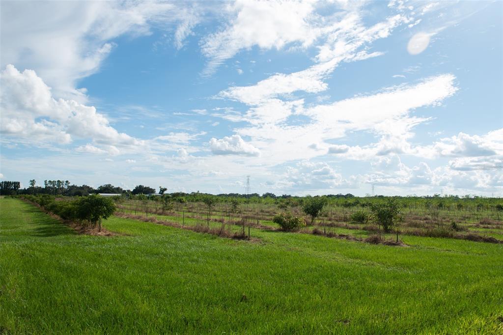 Blanton Acres Road Plant City, FL 33565 - Photo 23 of 24