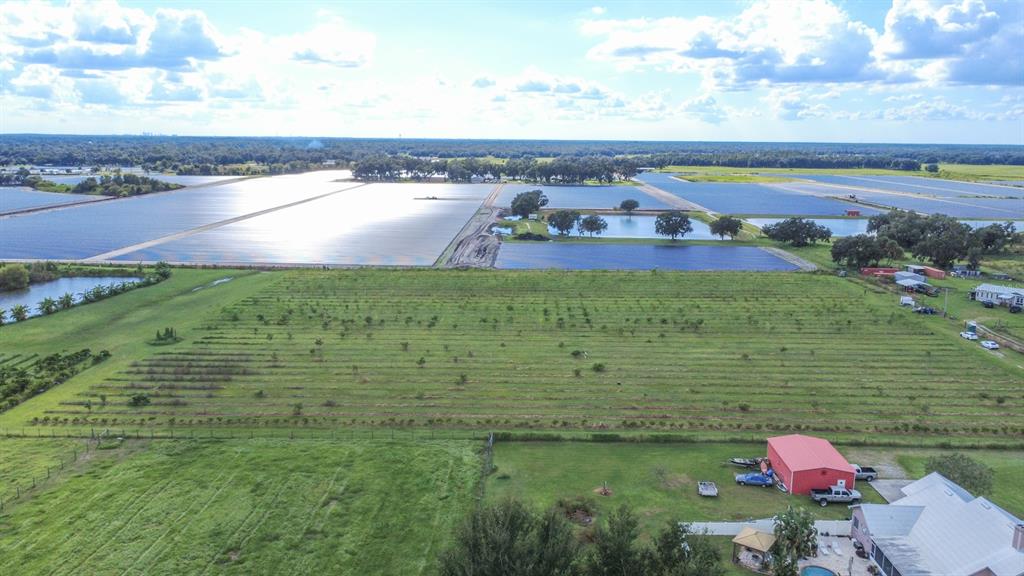 Blanton Acres Road Plant City, FL 33565 - Photo 5 of 24