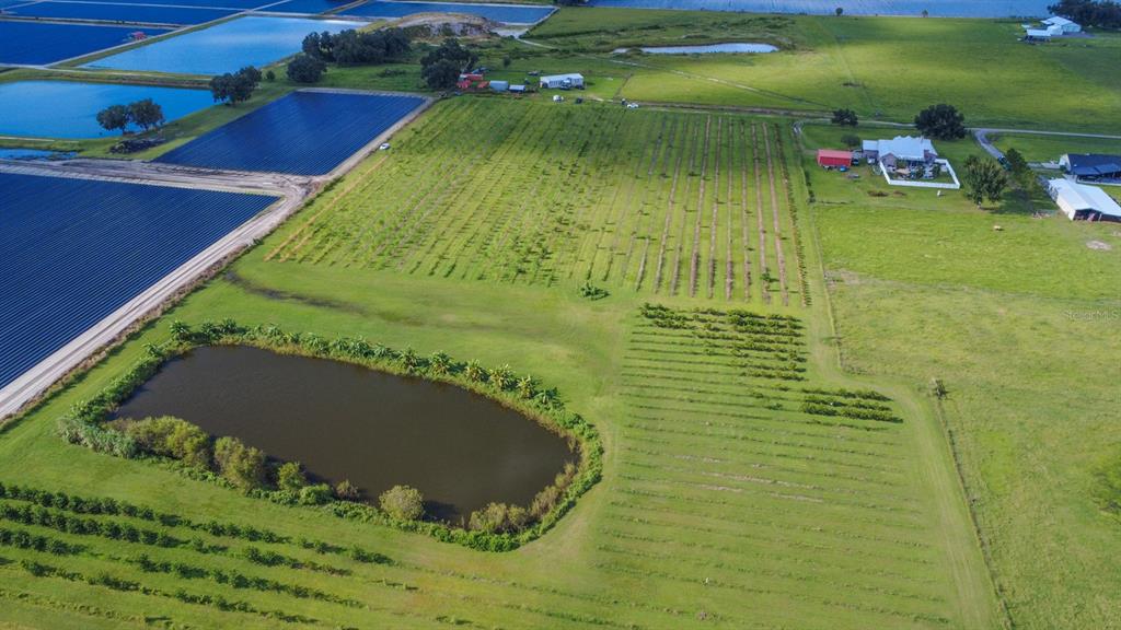 Blanton Acres Road Plant City, FL 33565 - Photo 6 of 24