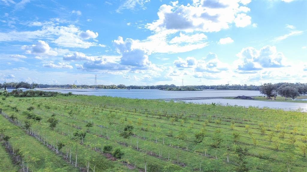 Blanton Acres Road Plant City, FL 33565 - Photo 7 of 24