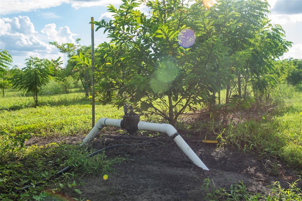 Blanton Acres Road Plant City, FL 33565 - Photo 8 of 24