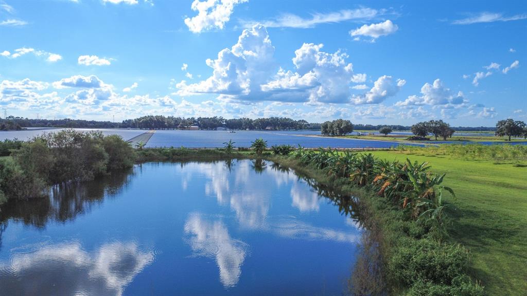 Blanton Acres Road Plant City, FL 33565 - Photo 10 of 24