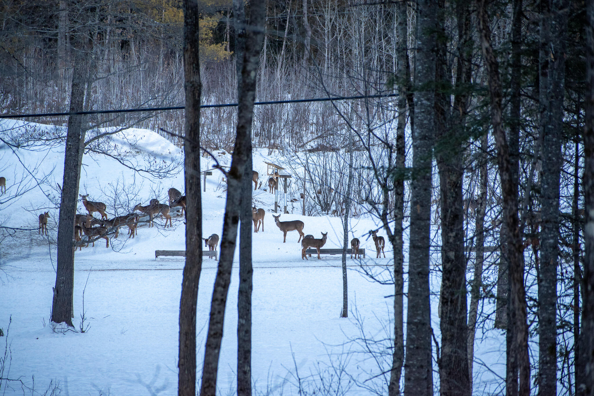 13 A Rips Road Brownville, ME 04414 - Photo 39 of 47 DSC_0273