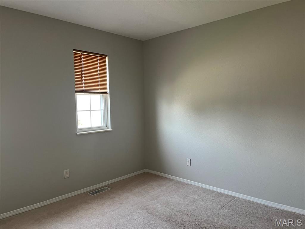 810 Misty Valley Road O'Fallon, IL 62269 - Photo 13 of 20 Gallery Image 13