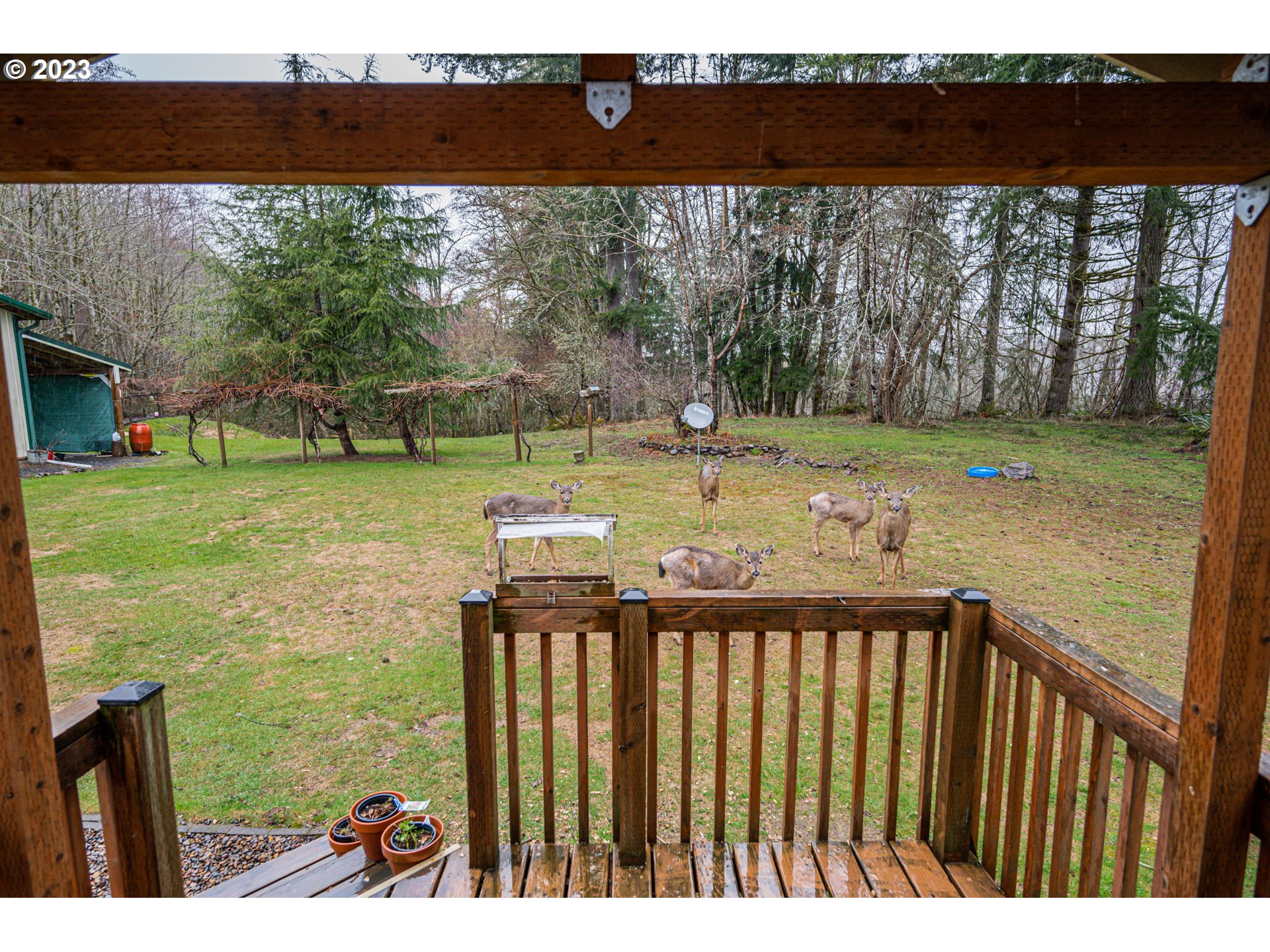 310 Inverness Road Woodland, WA 98674 - Photo 24 of 32 Gallery Image 24