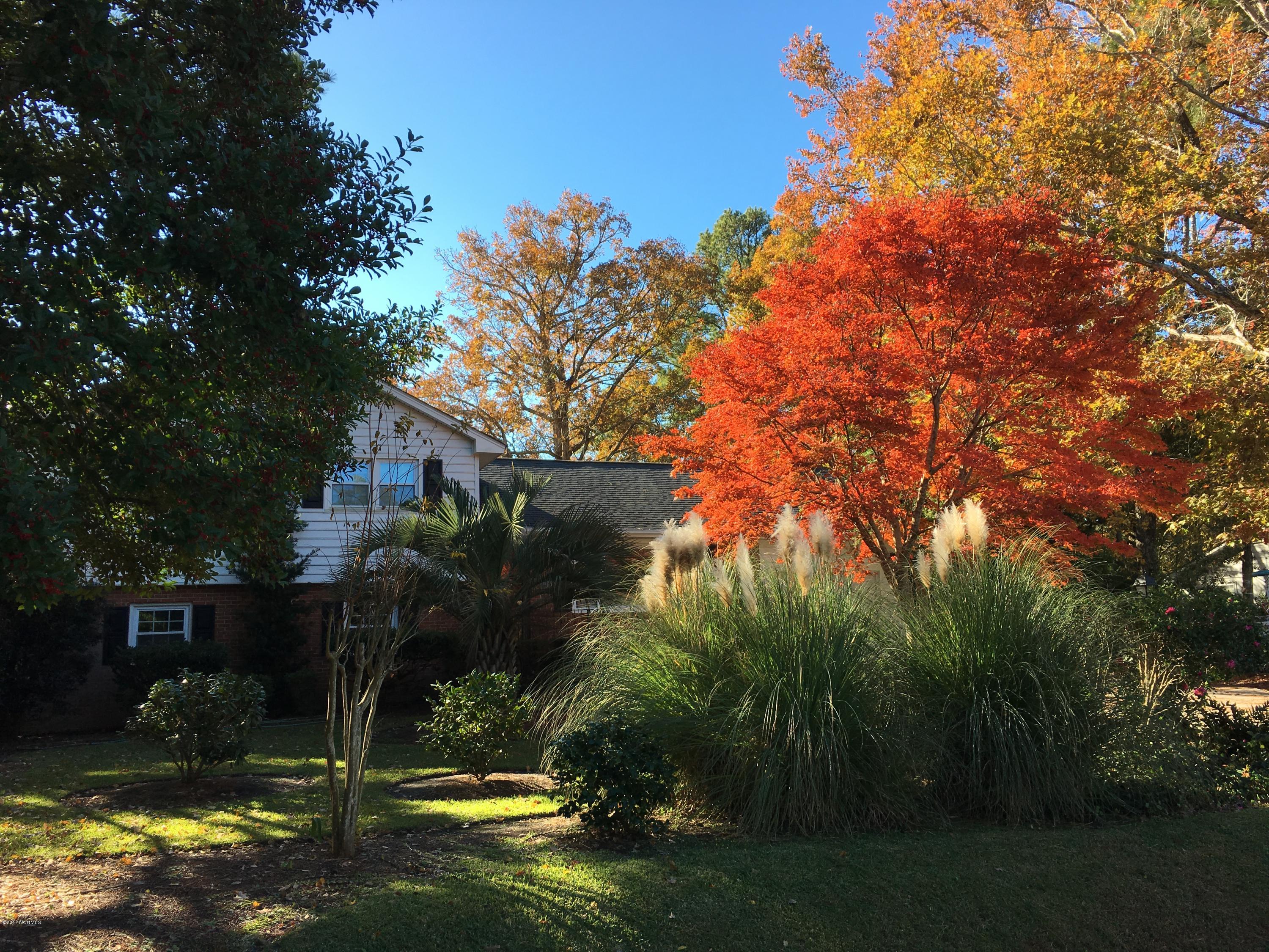 596 Robin Road Morehead City, NC 28557 - Photo 4 of 40 Front Fall