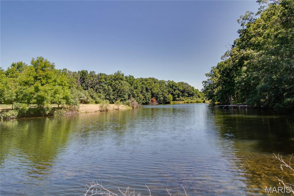 9368 Rhea Park Road Loami, IL 62661 - Photo 45 of 54