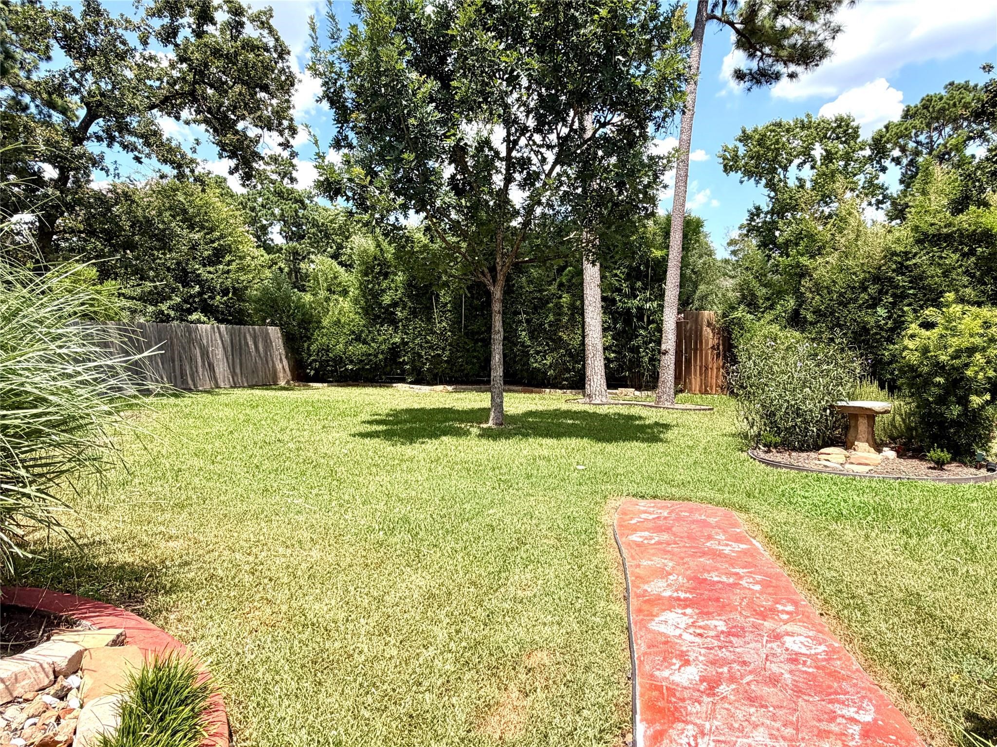 24818 Haverford Road Spring, TX 77389 - Photo 9 of 45 Private backyard oasis