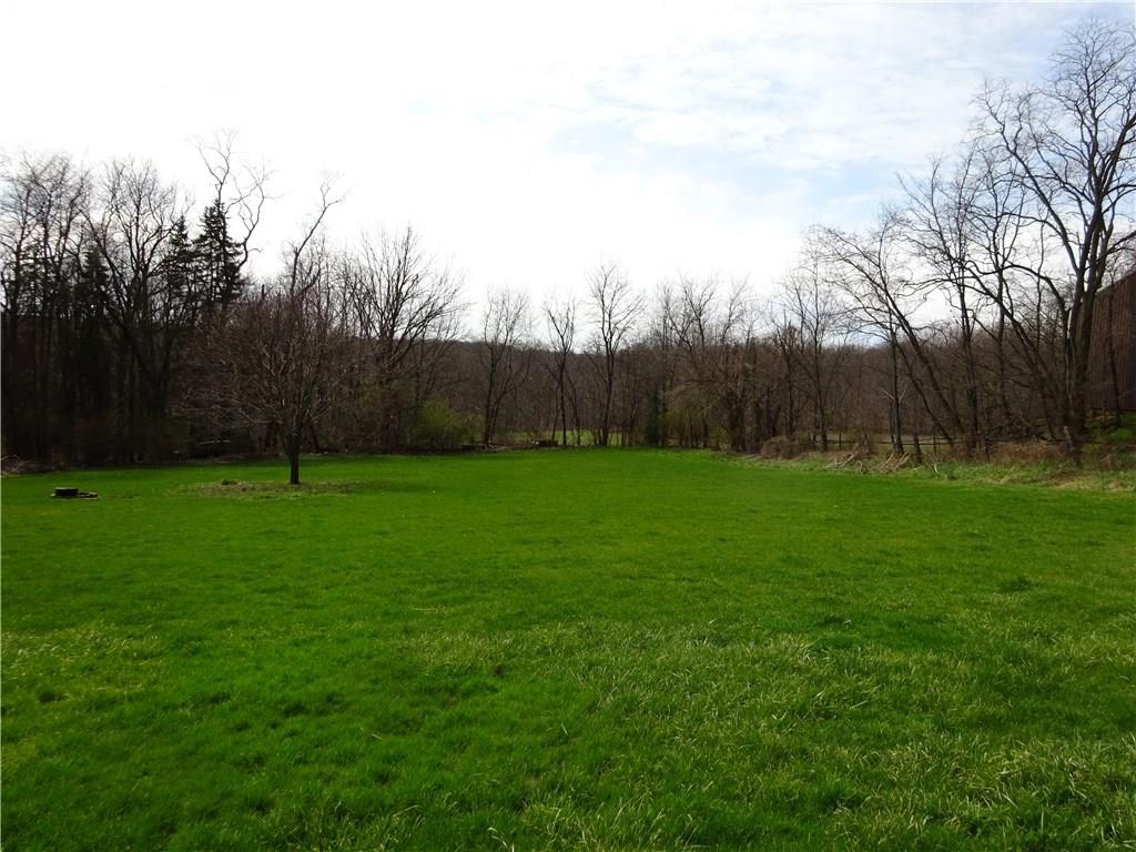 475 Engle Road Industry, PA 15052 - Photo 3 of 14 Rear yard