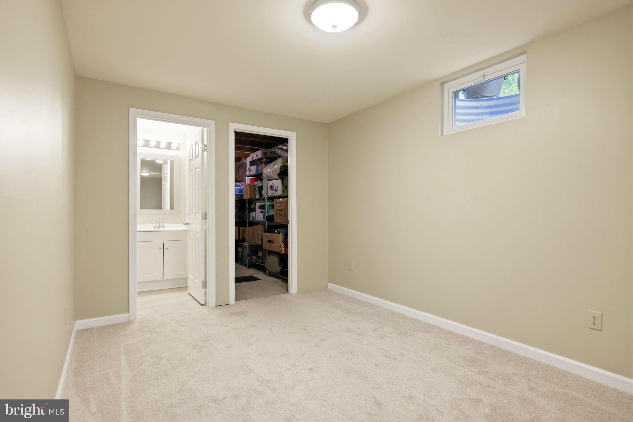 813 Duncan Place Southeast Leesburg, VA 20175 - Photo 66 of 90 Lower Level View