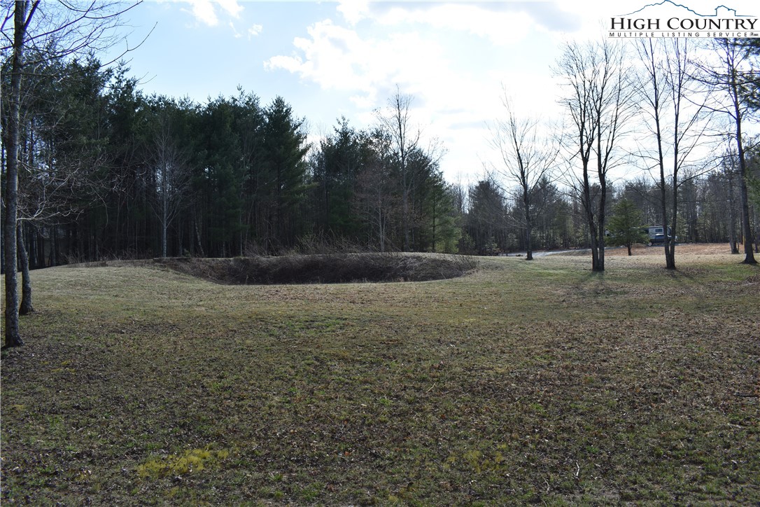 Presnell Road Sparta, NC 28675 - Photo 8 of 15