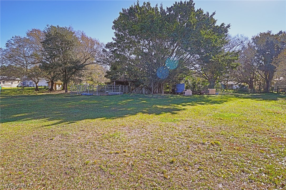4260 Staley Road Fort Myers, FL 33905 - Photo 3 of 16 a view of a water fountain and a big yard