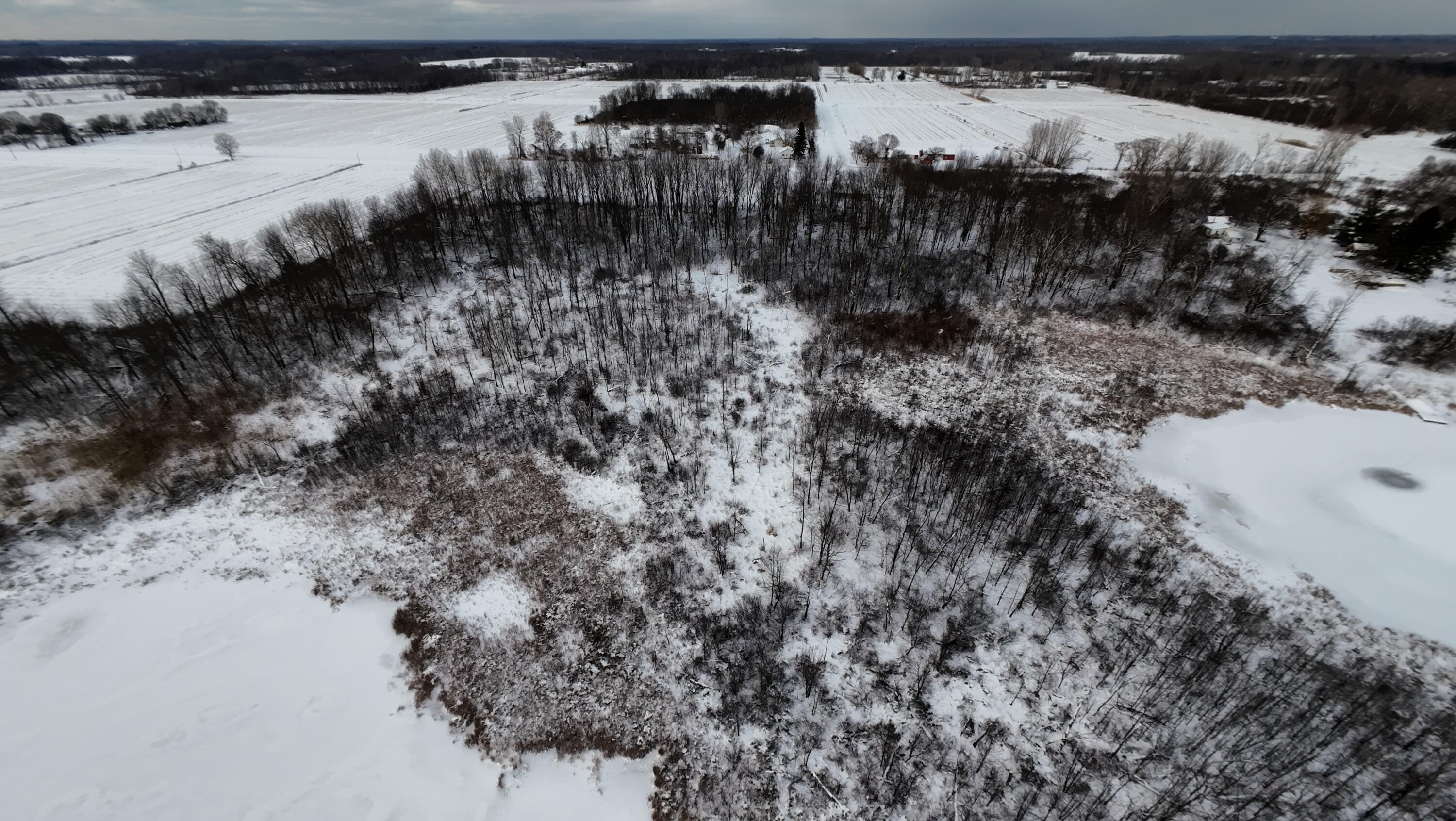 42nd Avenue Bangor, MI 49013 - Photo 7 of 14 6049542ndPhoto6