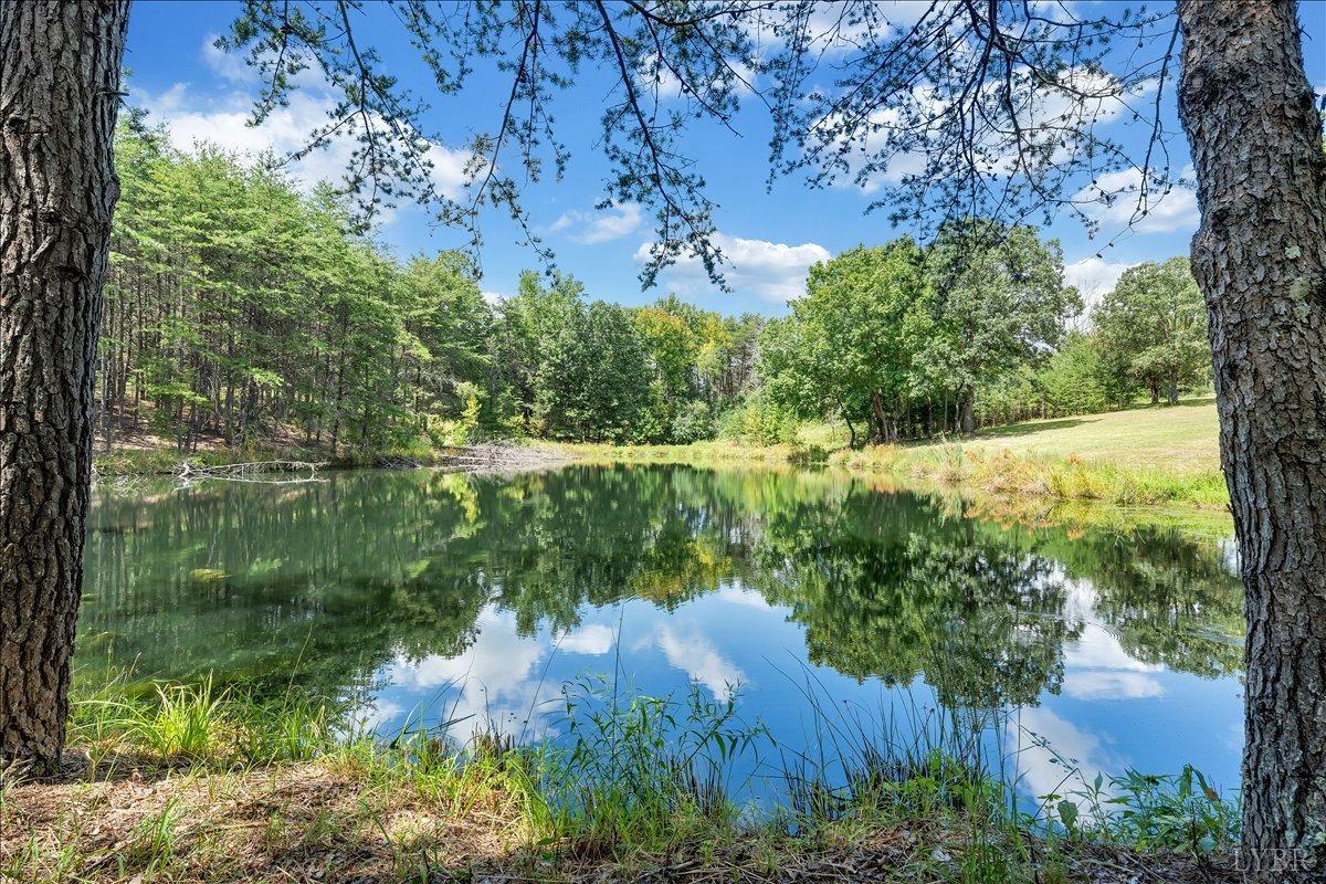 1714 Fairview Church Road Huddleston, VA 24104 - Photo 54 of 55 Pond