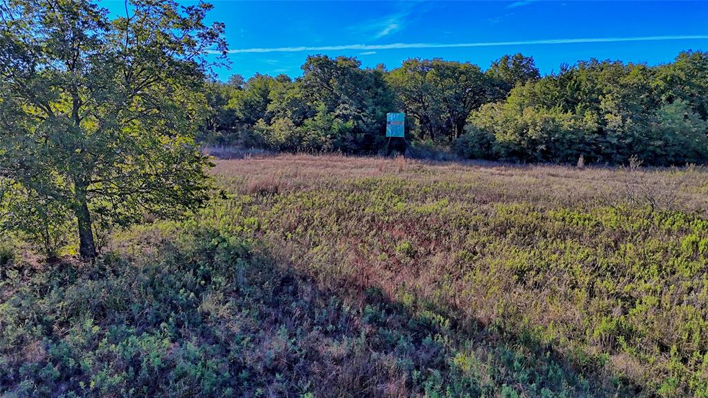 4 4 Wire Road Bowie, TX 76230 - Photo 11 of 39 a view of a backyard