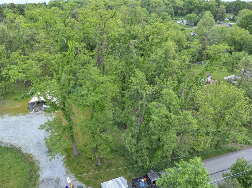 103 McJunkin Road Pittsburgh, PA 15239 - Photo 9 of 24 a view of a forest with a houses