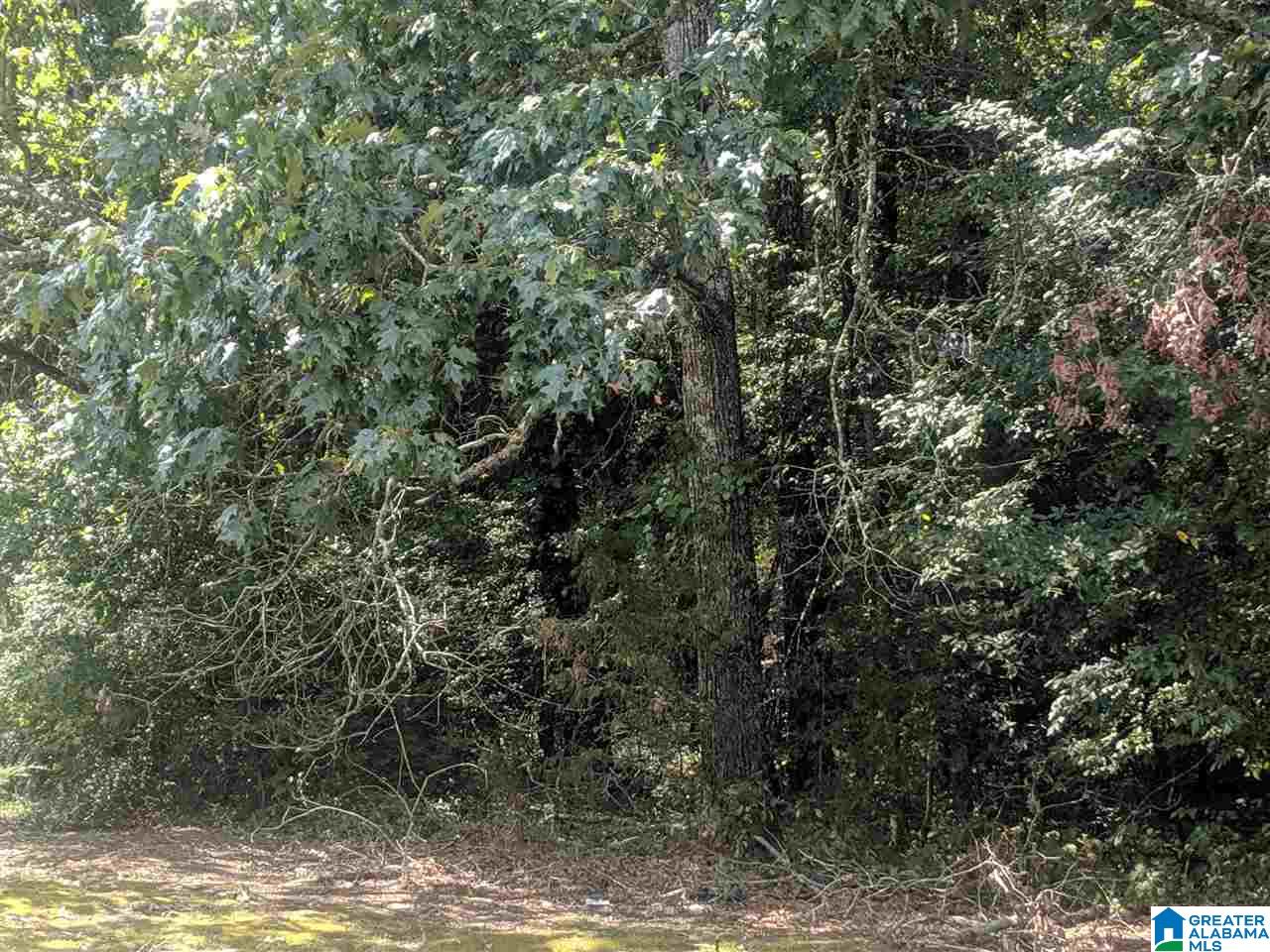 0 Old Broadwell Mill Road Jacksonville, AL 36265 - Photo 11 of 22