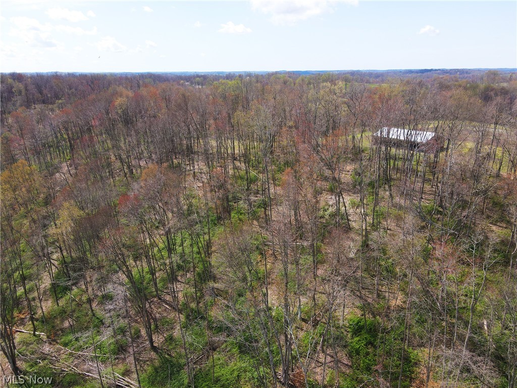 87800 Dewell Road Scio, OH 43988 - Photo 21 of 28 Gallery Image 21