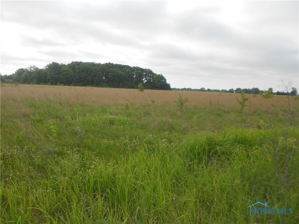 0 West Reservation Line Road Millbury, OH 43447 - Photo 3 of 5 Gallery Image 3