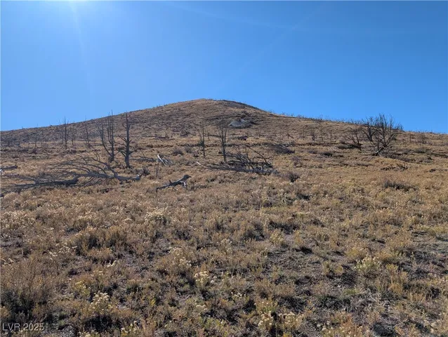 $60,000 | Canyon Peak Pioche Nv 89043, Pioche, NV 89043
