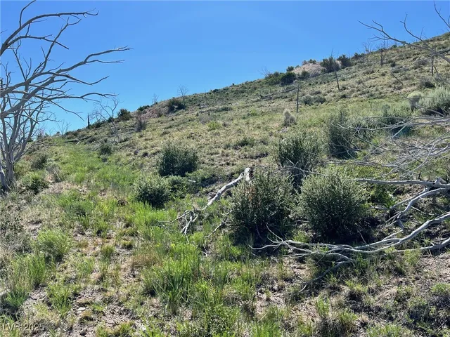 $60,000 | Canyon Peak Pioche Nv 89043, Pioche, NV 89043