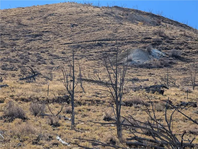 $60,000 | Canyon Peak Pioche Nv 89043, Pioche, NV 89043