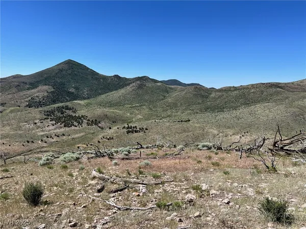 $60,000 | Canyon Peak Pioche Nv 89043, Pioche, NV 89043