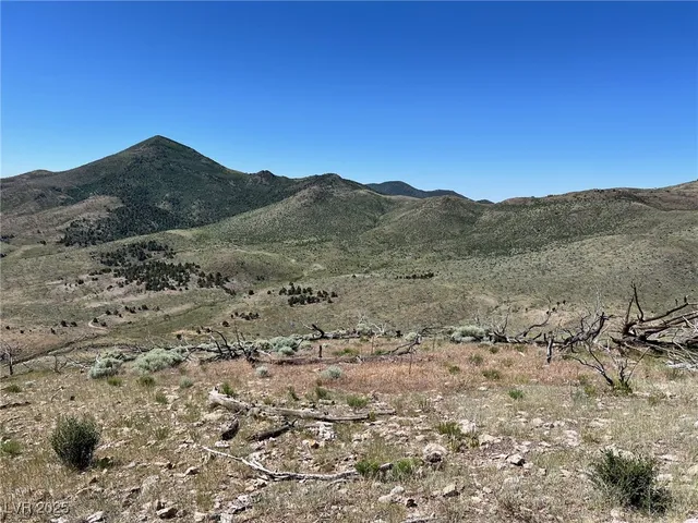 $60,000 | Canyon Peak Pioche Nv 89043, Pioche, NV 89043