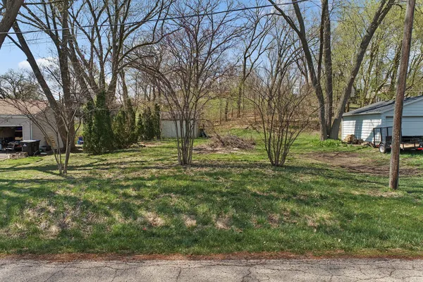 a view of a yard with a tree