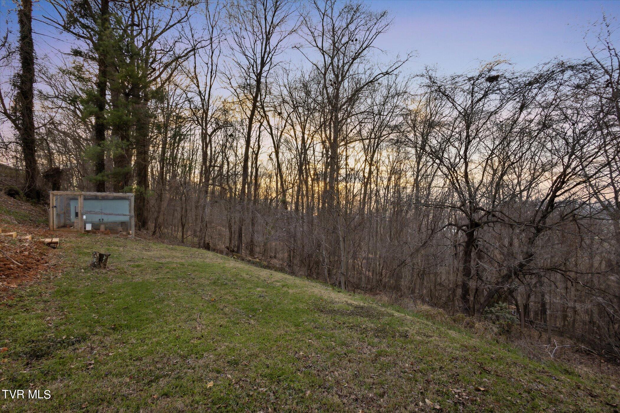 4744 Edens View Road Kingsport, TN 37664 - Photo 45 of 56 46-4744-Edens-View-Rd-WindowStill-46
