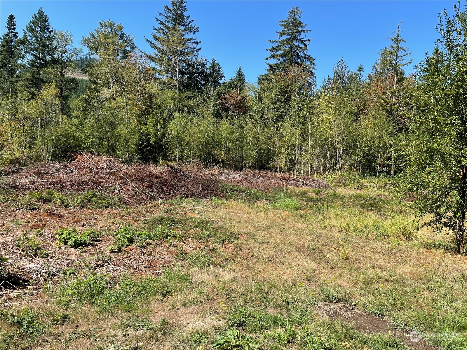 a fire hydrant in the middle of a field