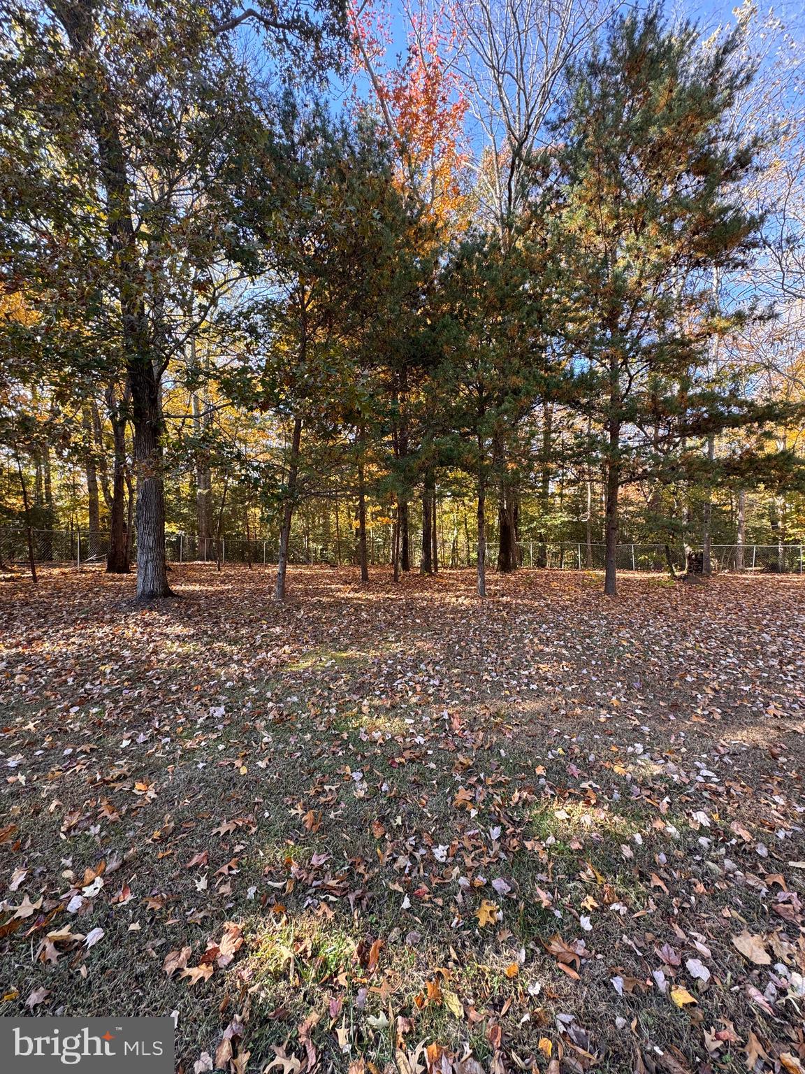 687 Prospect Hill Road Montross, VA 22520 - Photo 68 of 73