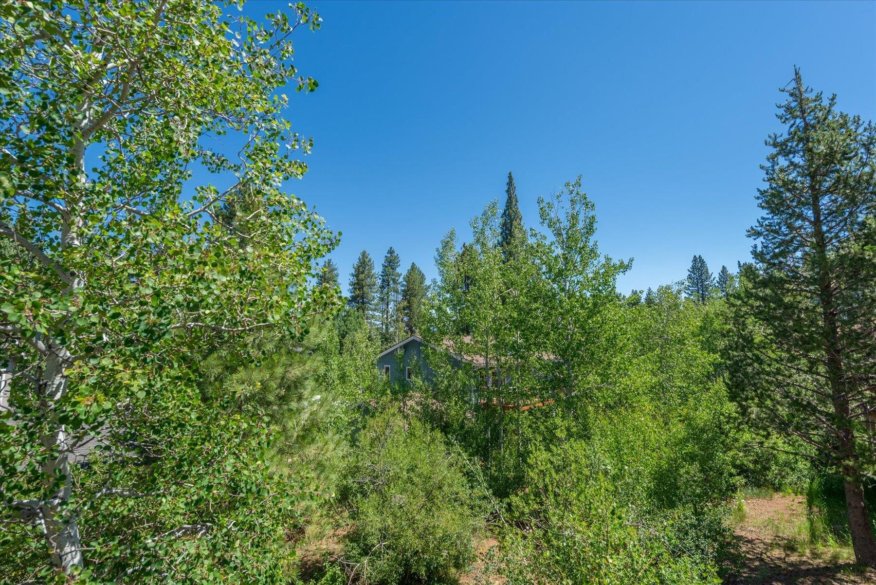 10240 Pine Cone Road Truckee, CA 96161 - Photo 8 of 28
