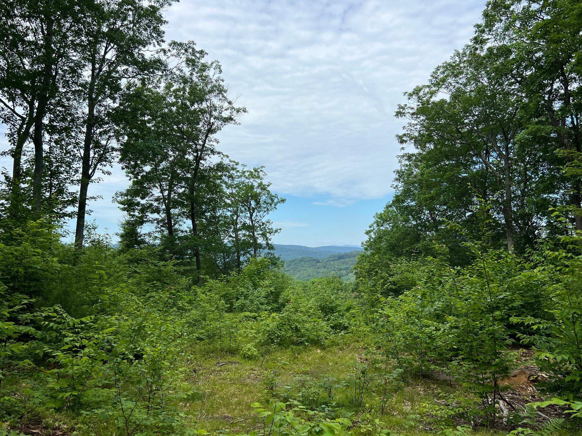 12 Peaked Hill Road Ashland, NH 03217 - Photo 16 of 42