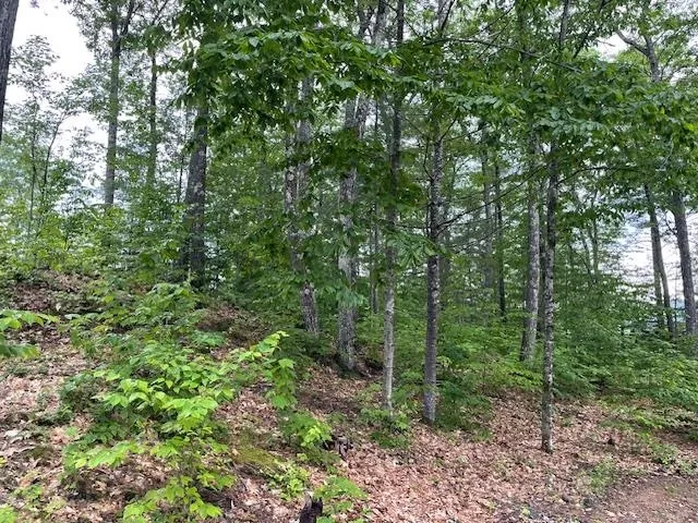 $199,900 | 12 Peaked Hill Road, Ashland, NH 03217