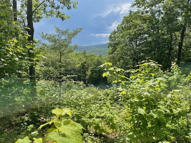 12 Peaked Hill Road Ashland, NH 03217 - Photo 20 of 42