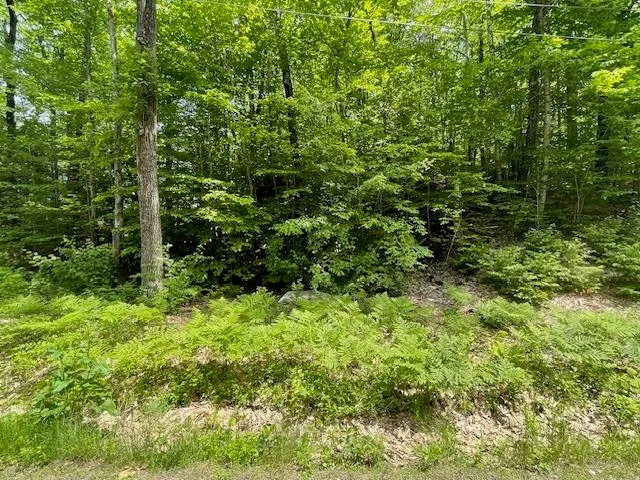 $199,900 | 12 Peaked Hill Road, Ashland, NH 03217