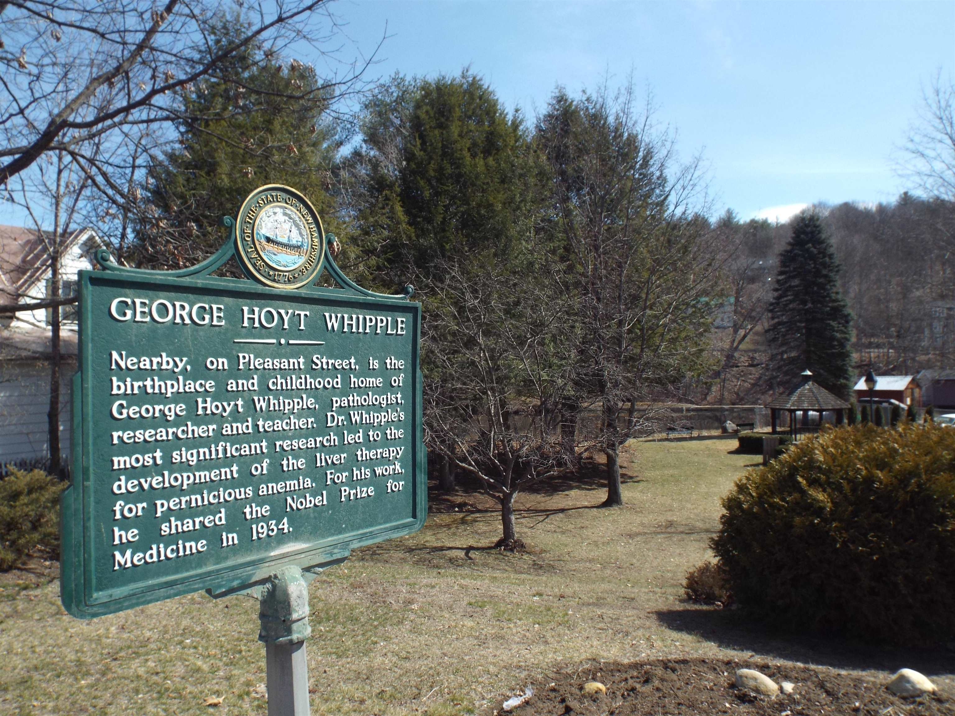 12 Peaked Hill Road Ashland, NH 03217 - Photo 28 of 42