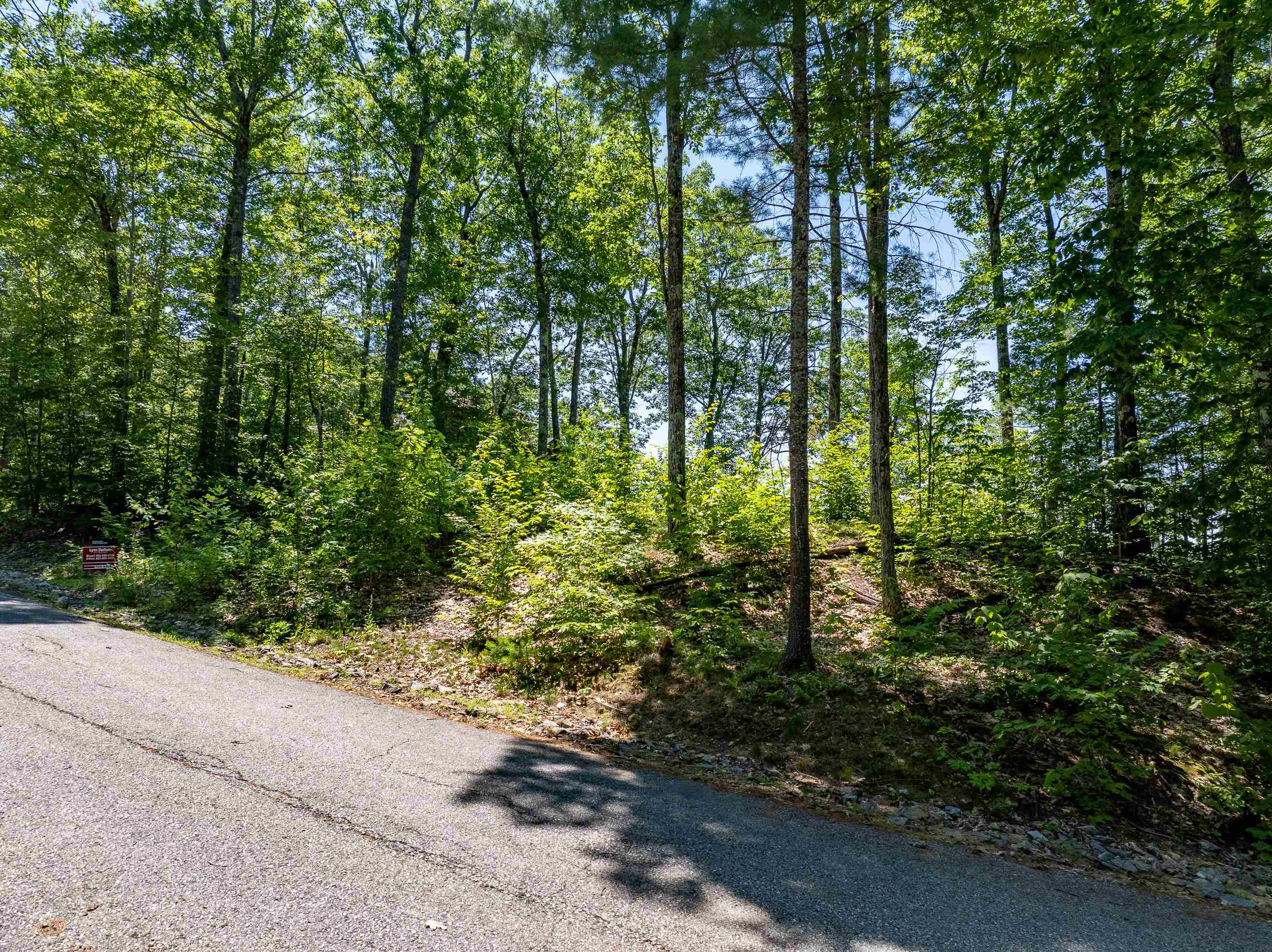 12 Peaked Hill Road Ashland, NH 03217 - Photo 9 of 42