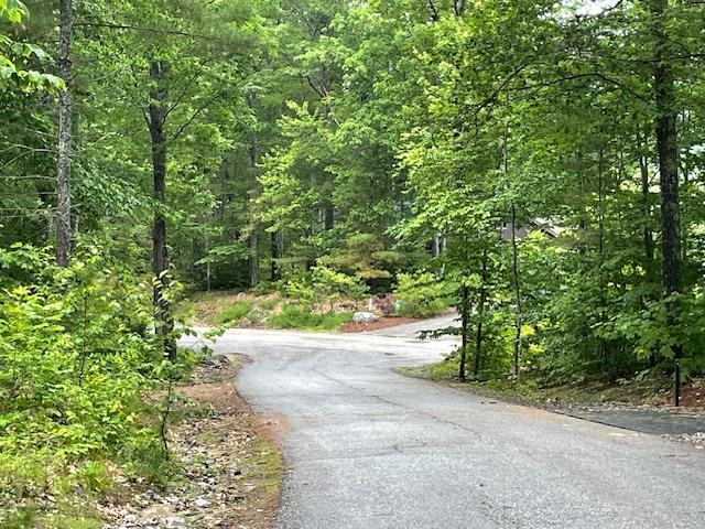 12 Peaked Hill Road Ashland, NH 03217 - Photo 10 of 42