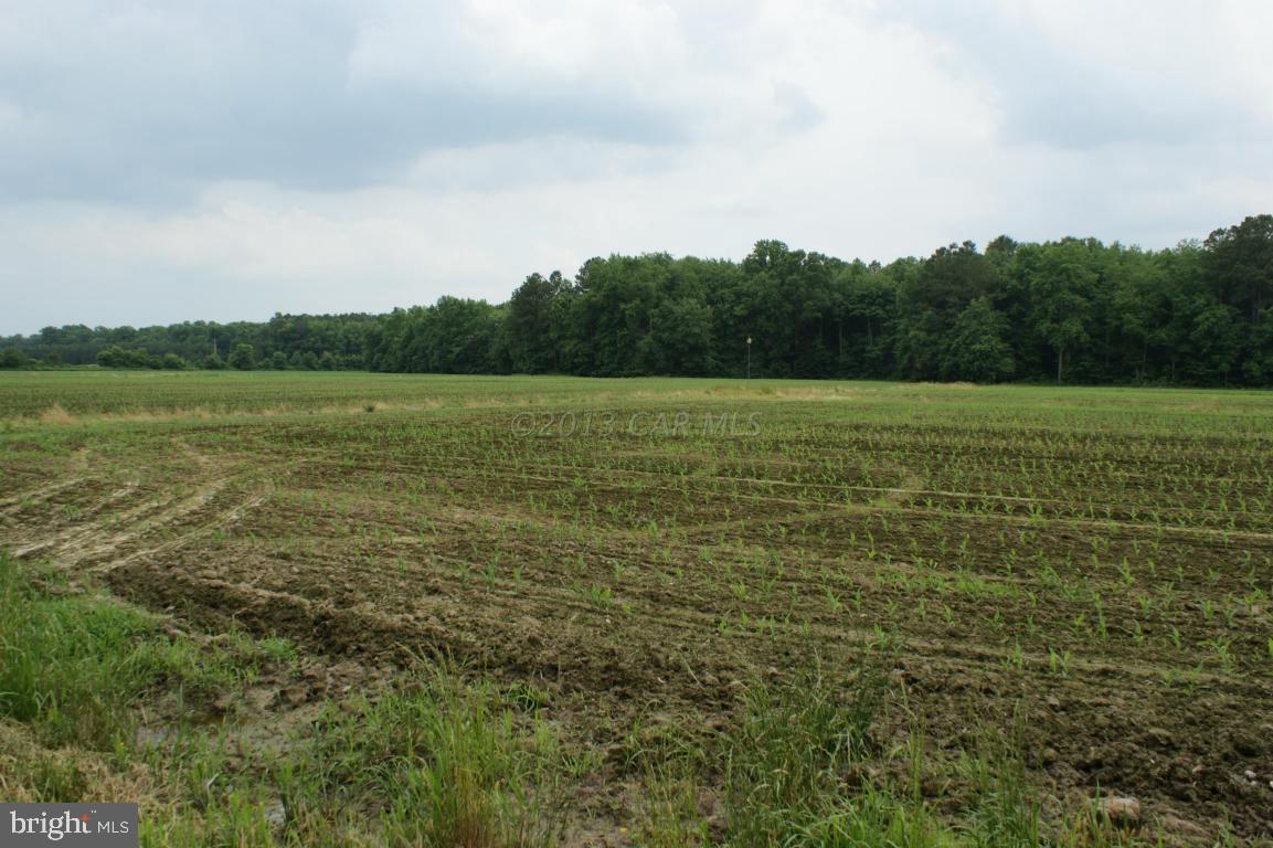 Acorn Road Newark, MD 21841 - Photo 2 of 4